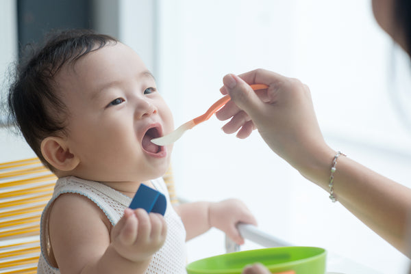 Working Together: How to Introduce Solid Foods While Breastfeeding
