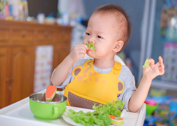Boosting Your Baby's Immunity: 4 Foods To Incorporate